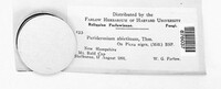 Peridermium abietinum image